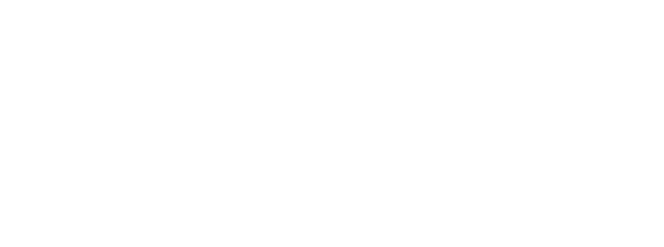 capital-one-logo